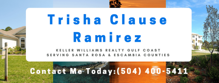 Read more about the article February Santa Rosan – Sponsored by Trisha Clause-Ramirez, Realtor